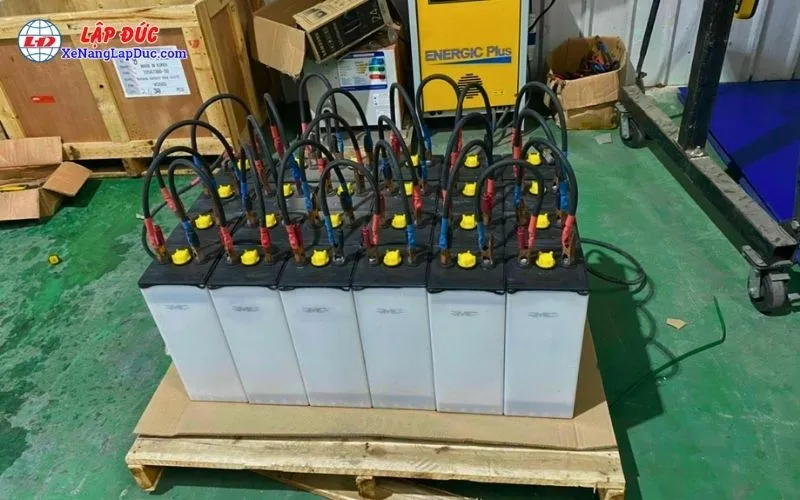 Cell bình